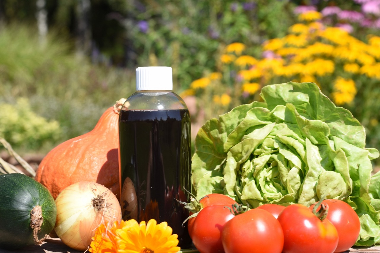 Nejlepší žížalí čaj